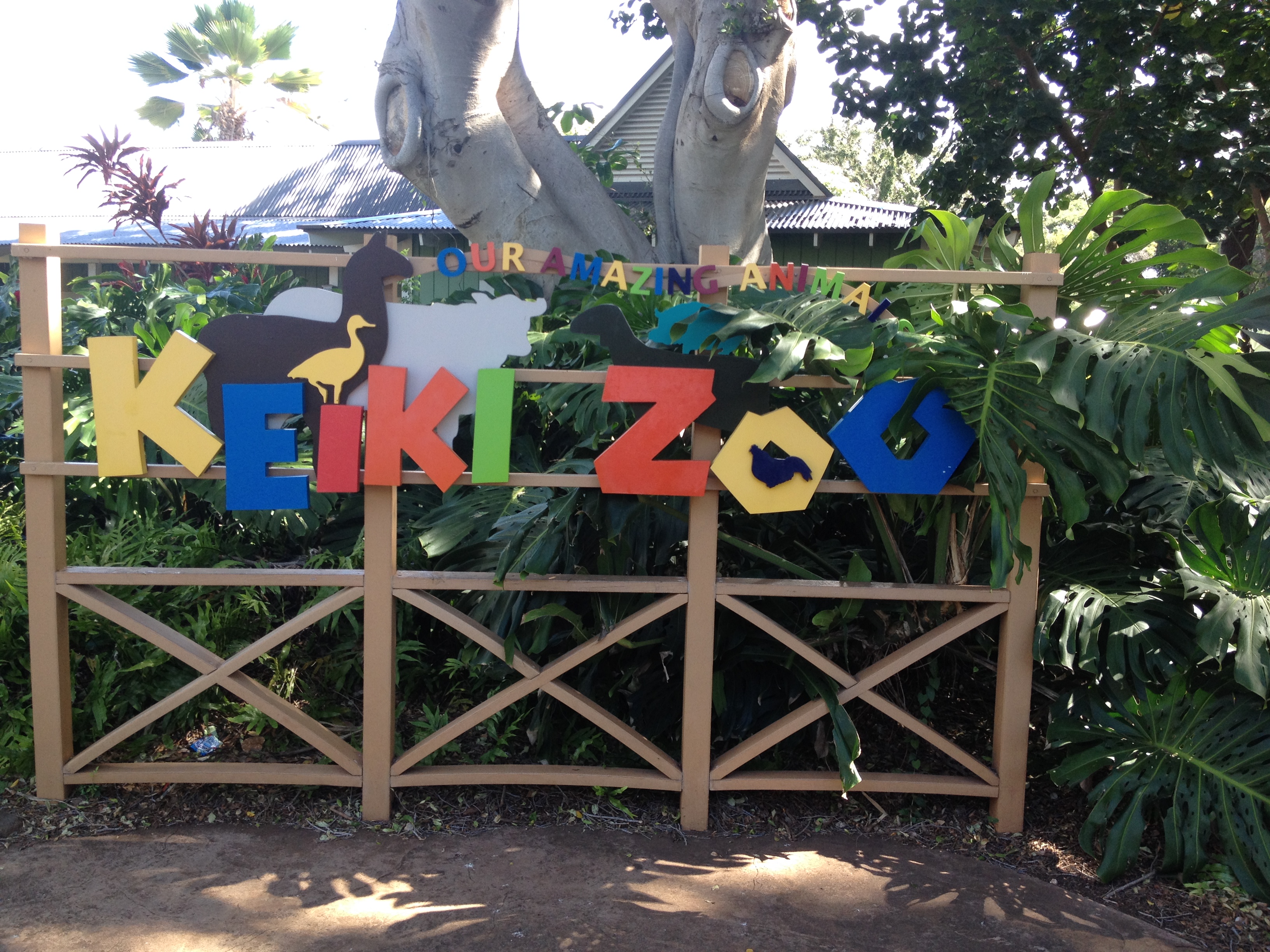 Zoo In Waikiki Hewan Lucu Terbaru